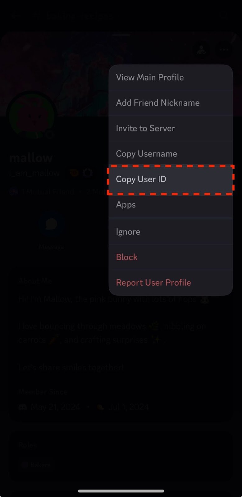 Mobile: Tap a user to find Copy User ID